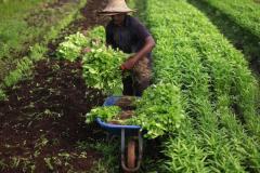 Farming & Agriculture Jobs