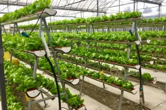 1_JqEz5PiQrw1EKv4IQbz4Vg