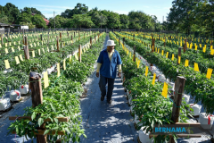 93477d84fad22fcf1feda217b27ac2ae5e26c9574dc69