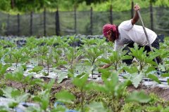 MOHD_HANIFF_O2019_1541483391