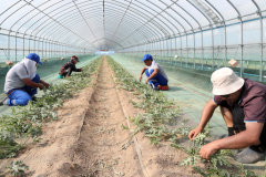 aa1346fe-2598-49fa-9f7b-946fe3dc0ff3