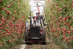 abundant-robotics-automated-apple-picking-technology